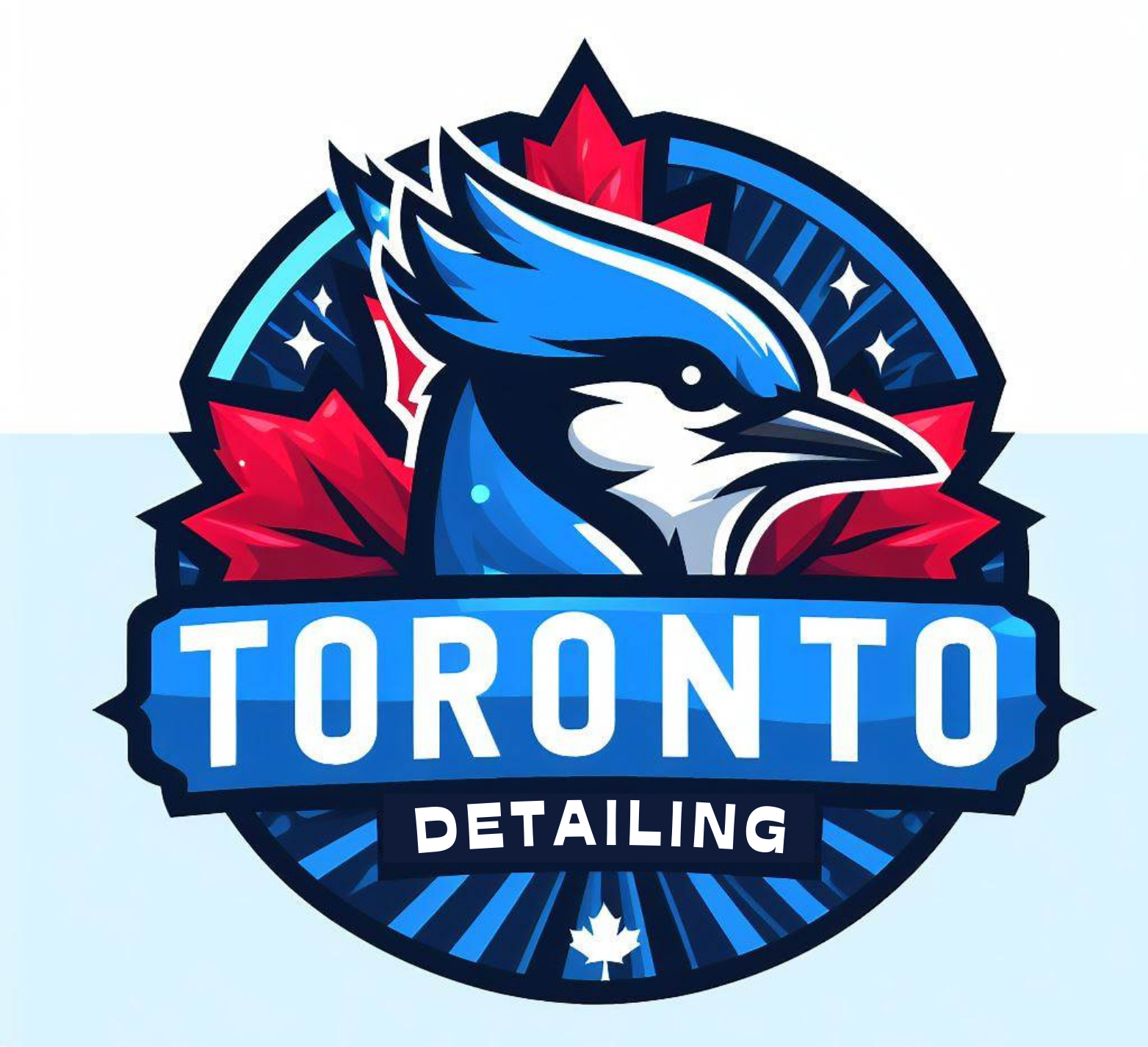 Toronto Detailing